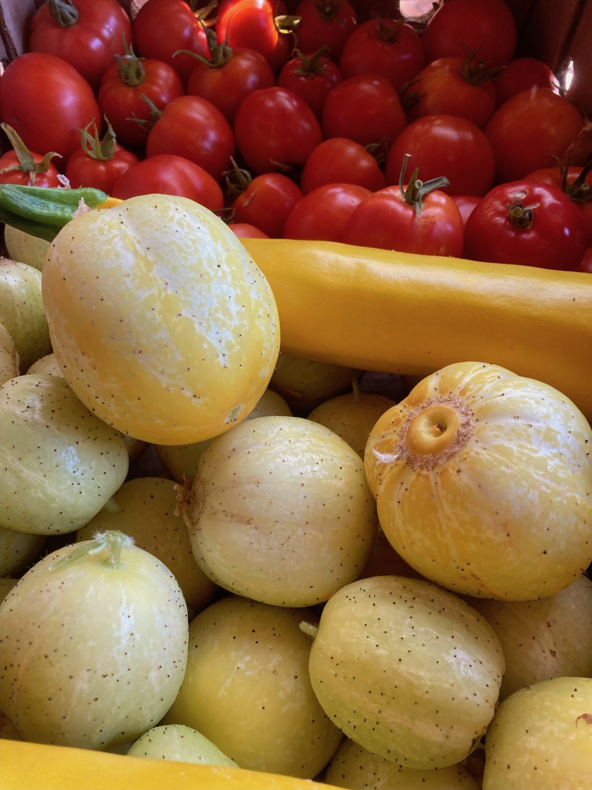 community garden harvest teravana 