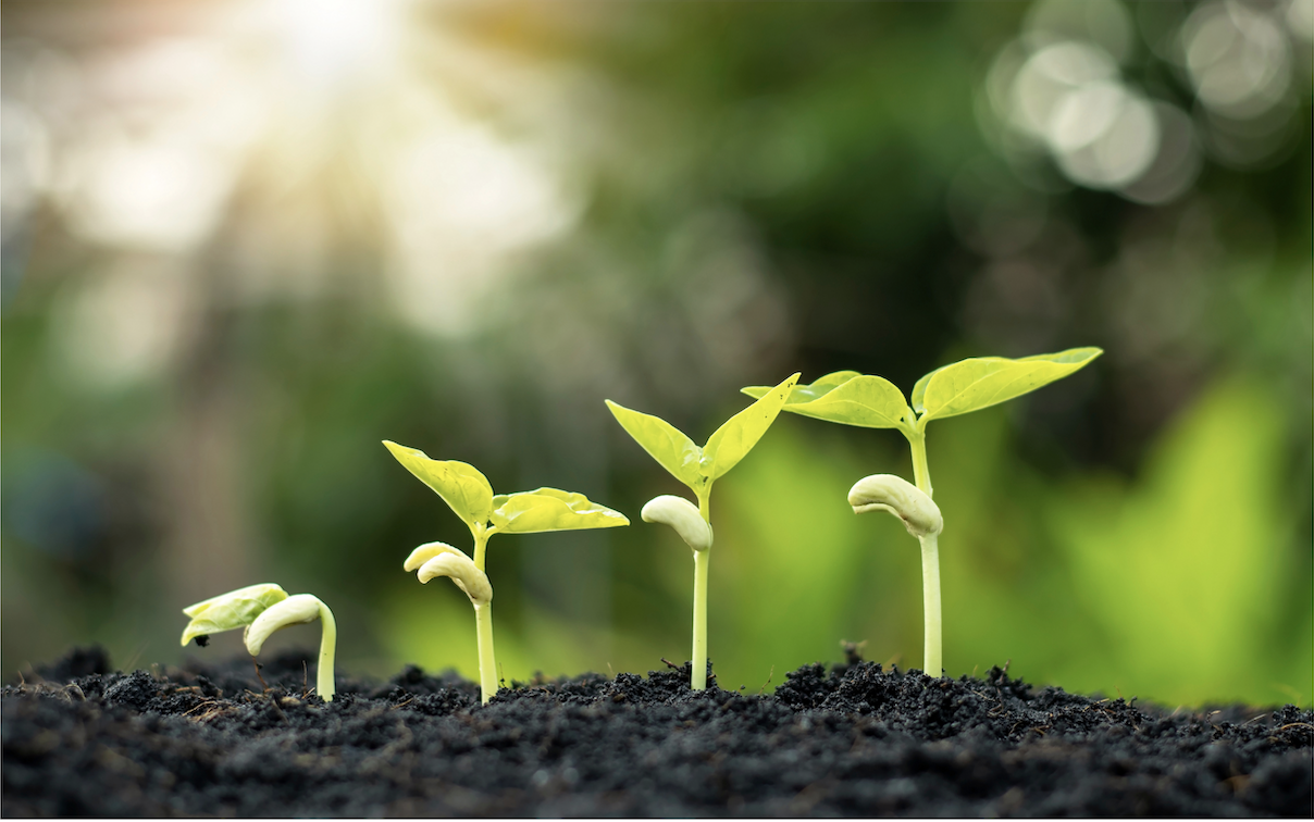 what is environmental stewardship