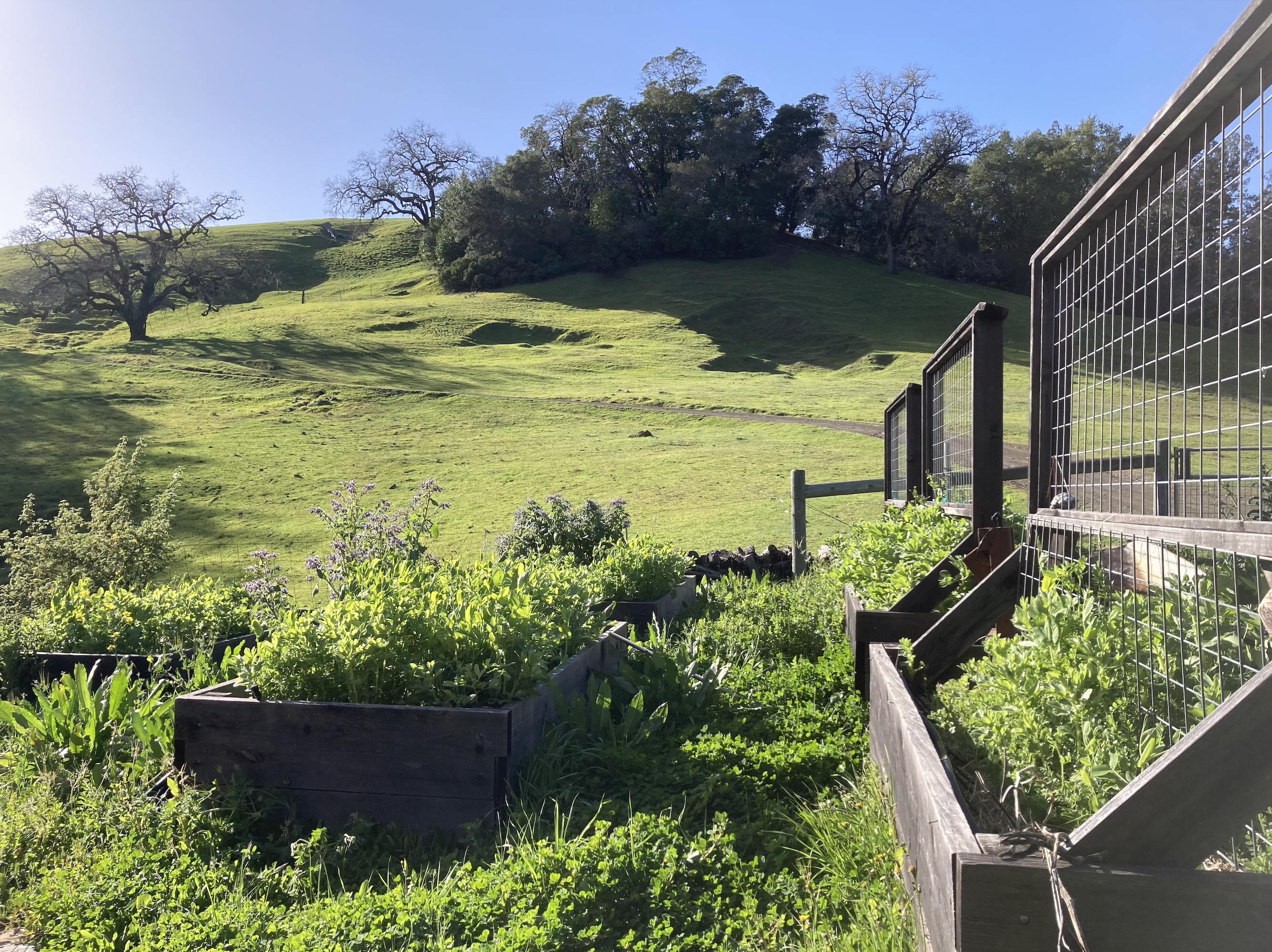 Teravana Community Garden